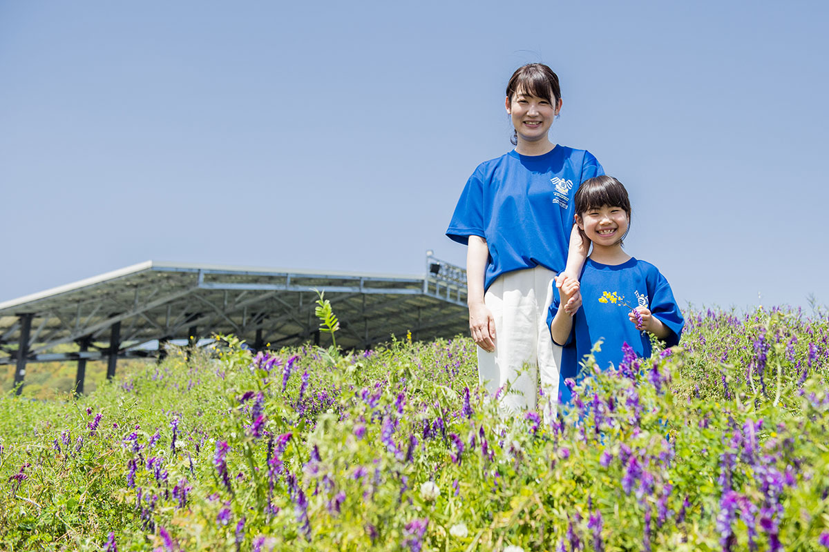 季節のお花と